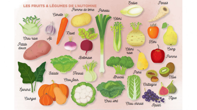 Fruits et légumes de saison : automne